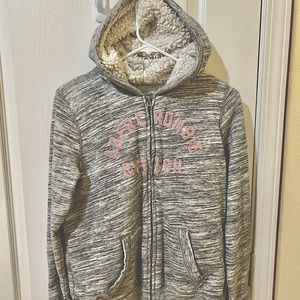 sherpa-lined icon full-zip hoodie